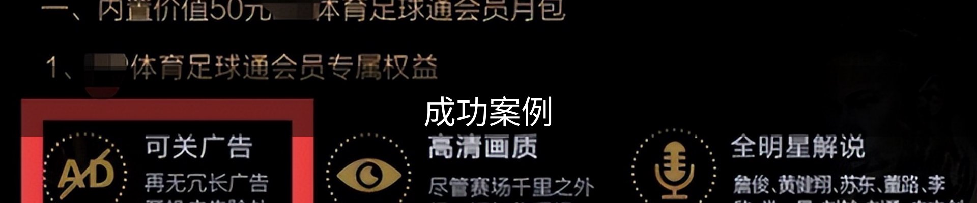 成功案例